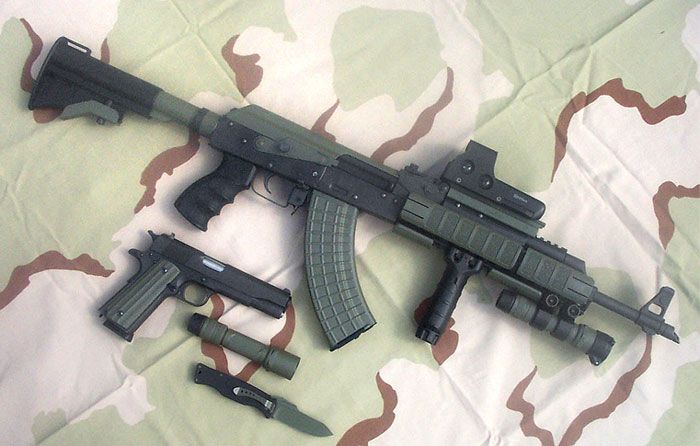 Custom AKM w/ M1-B Mount & ACR2-SL Rails